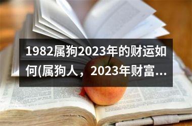 <h3>1982属狗2025年的财运如何(属狗人，2025年财富可期！)