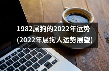 1982属狗的2025年运势(2025年属狗人运势展望)