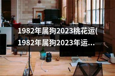 1982年属狗2023桃花运(1982年属狗2023年运势)