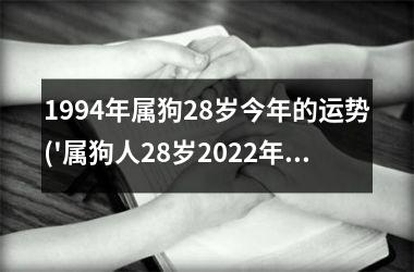 <h3>1994年属狗28岁今年的运势('属狗人28岁2025年运势展望')