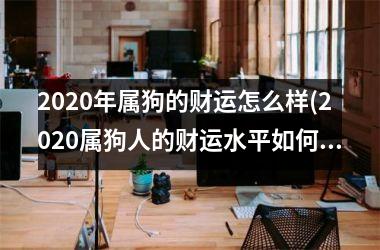 2025年属狗的财运怎么样(2025属狗人的财运水平如何？)