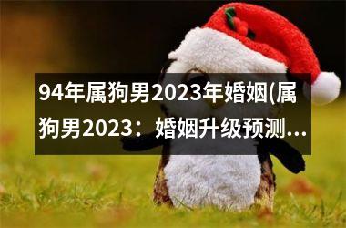 94年属狗男2023年婚姻(属狗男2023：婚姻升级预测)