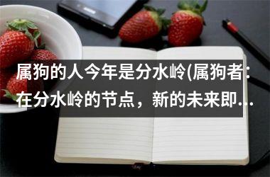 属狗的人今年是分水岭(属狗者：在分水岭的节点，新的未来即将到来！)