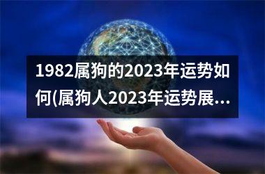 1982属狗的2025年运势如何(属狗人2025年运势展望)