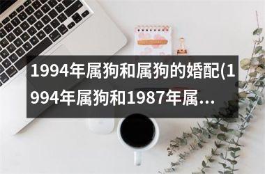 1994年属狗和属狗的婚配(1994年属狗和1987年属兔的相配吗)