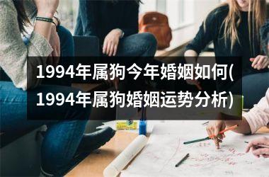 1994年属狗今年婚姻如何(1994年属狗婚姻运势分析)