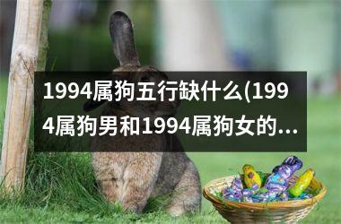 1994属狗五行缺什么(1994属狗男和1994属狗女的婚姻如何)