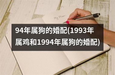 94年属狗的婚配(1993年属鸡和1994年属狗的婚配)