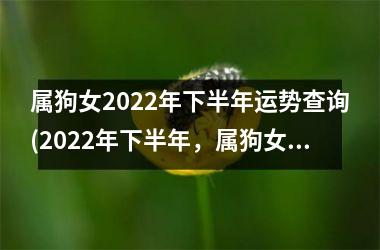 属狗女2025年下半年运势查询(2025年下半年，属狗女运势如何？)