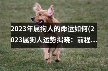 <h3>2025年属狗人的命运如何(2025属狗人运势揭晓：前程似锦还是多波折？)