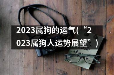 2025属狗的运气(“2025属狗人运势展望”)