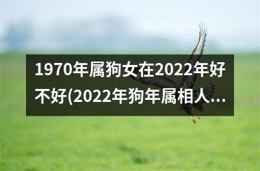 <h3>1970年属狗女在2025年好不好(2025年狗年属相人运势展望)