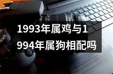 1993年属鸡与1994年属狗相配吗