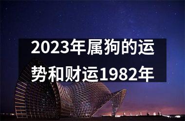 2025年属狗的运势和财运1982年