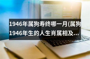 1946年属狗寿终哪一月(属狗1946年生的人生肖属相及命运分析)