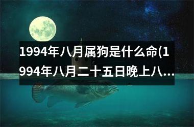 1994年八月属狗是什么命(1994年八月二十五日晚上八点生辰八字)