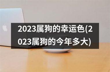 2025属狗的幸运色(2025属狗的今年多大)