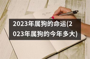 2025年属狗的命运(2025年属狗的今年多大)