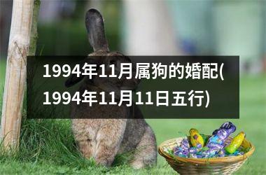 1994年11月属狗的婚配(1994年11月11日五行)