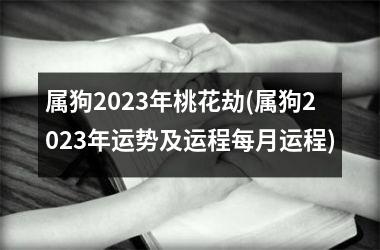 属狗2025年桃花劫(属狗2025年运势及运程每月运程)