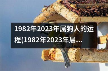 1982年2025年属狗人的运程(1982年2025年属狗人的全年运势)