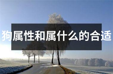 狗属性和属什么的合适