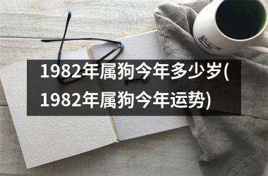 1982年属狗今年多少岁(1982年属狗今年运势)