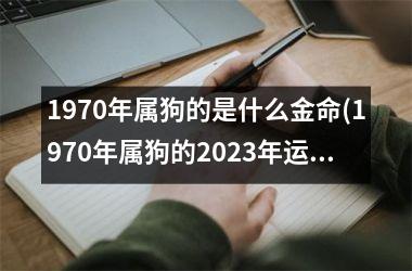 1970年属狗的是什么金命(1970年属狗的2025年运势和财运怎么样)