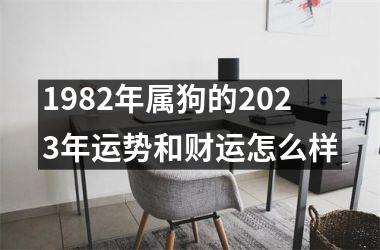 1982年属狗的2025年运势和财运怎么样