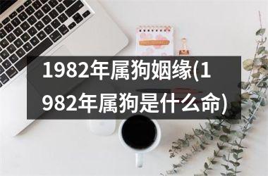 1982年属狗姻缘(1982年属狗是什么命)