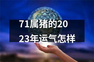 71属猪的2025年运气怎样