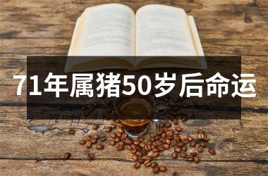 <h3>71年属猪50岁后命运