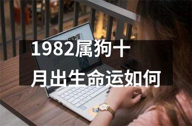 1982属狗十月出生命运如何