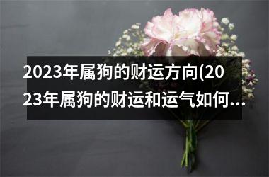 2025年属狗的财运方向(2025年属狗的财运和运气如何)