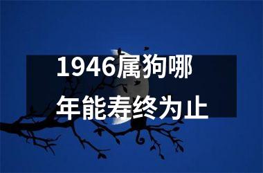 1946属狗哪年能寿终为止