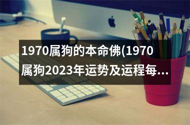 1970属狗的本命佛(1970属狗2025年运势及运程每月运程)