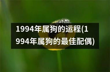 1994年属狗的运程(1994年属狗的最佳配偶)