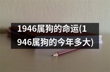 1946属狗的命运(1946属狗的今年多大)