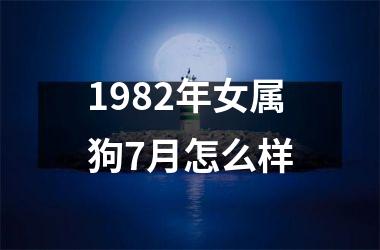 1982年女属狗7月怎么样