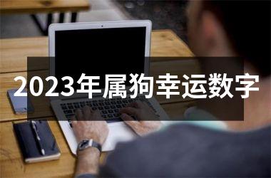 2025年属狗幸运数字