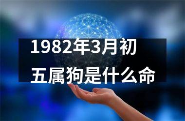 1982年3月初五属狗是什么命