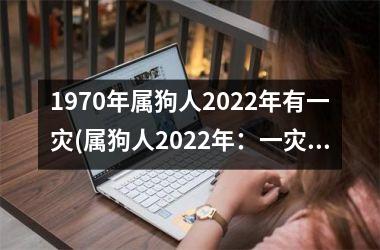 <h3>1970年属狗人2025年有一灾(属狗人2025年：一灾之后重逢幸福。)