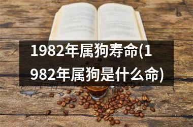 1982年属狗寿命(1982年属狗是什么命)