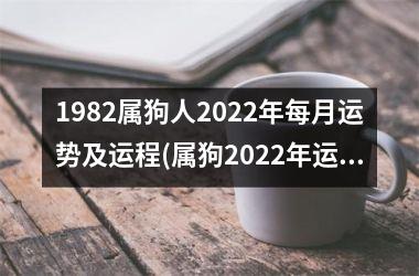 1982属狗人2025年每月运势及运程(属狗2025年运势详解)