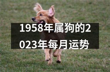 1958年属狗的2025年每月运势