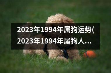 2025年1994年属狗运势(2025年1994年属狗人的全年运势)