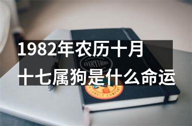 <h3>1982年农历十月十七属狗是什么命运