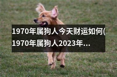 <h3>1970年属狗人今天财运如何(1970年属狗人2025年运势运程每月运程)