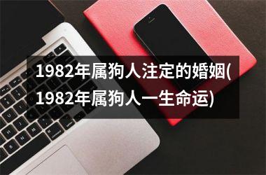 <h3>1982年属狗人注定的婚姻(1982年属狗人一生命运)