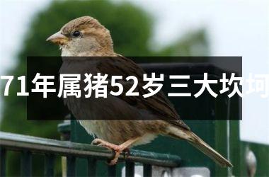 <h3>71年属猪52岁三大坎坷